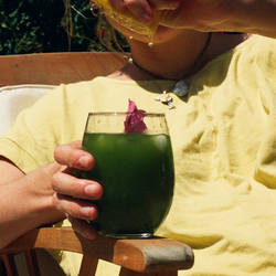 GInger-Lemon Laka Matcha