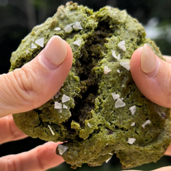 Single Serve Salted Matcha Cookie