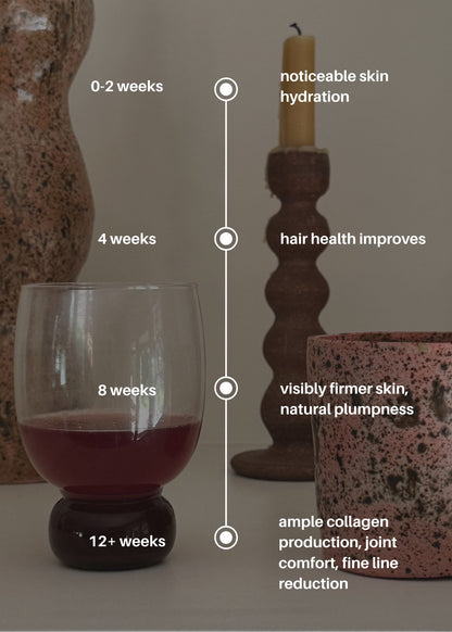 Daily Collagen + Creatine Drink Mix